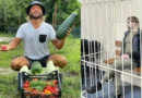 Se alimentaba del sol»: Influencer vegano a prisión por dejar morir de hambre a su bebé